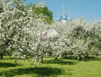 Коломенское